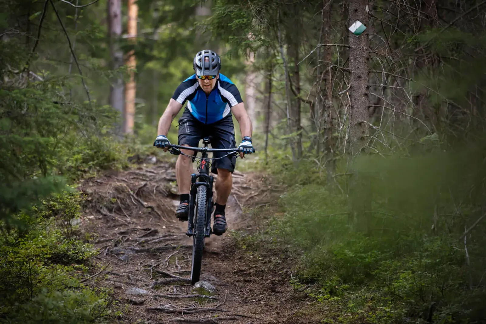 Cyclist on a mountain-bike trail through the forest