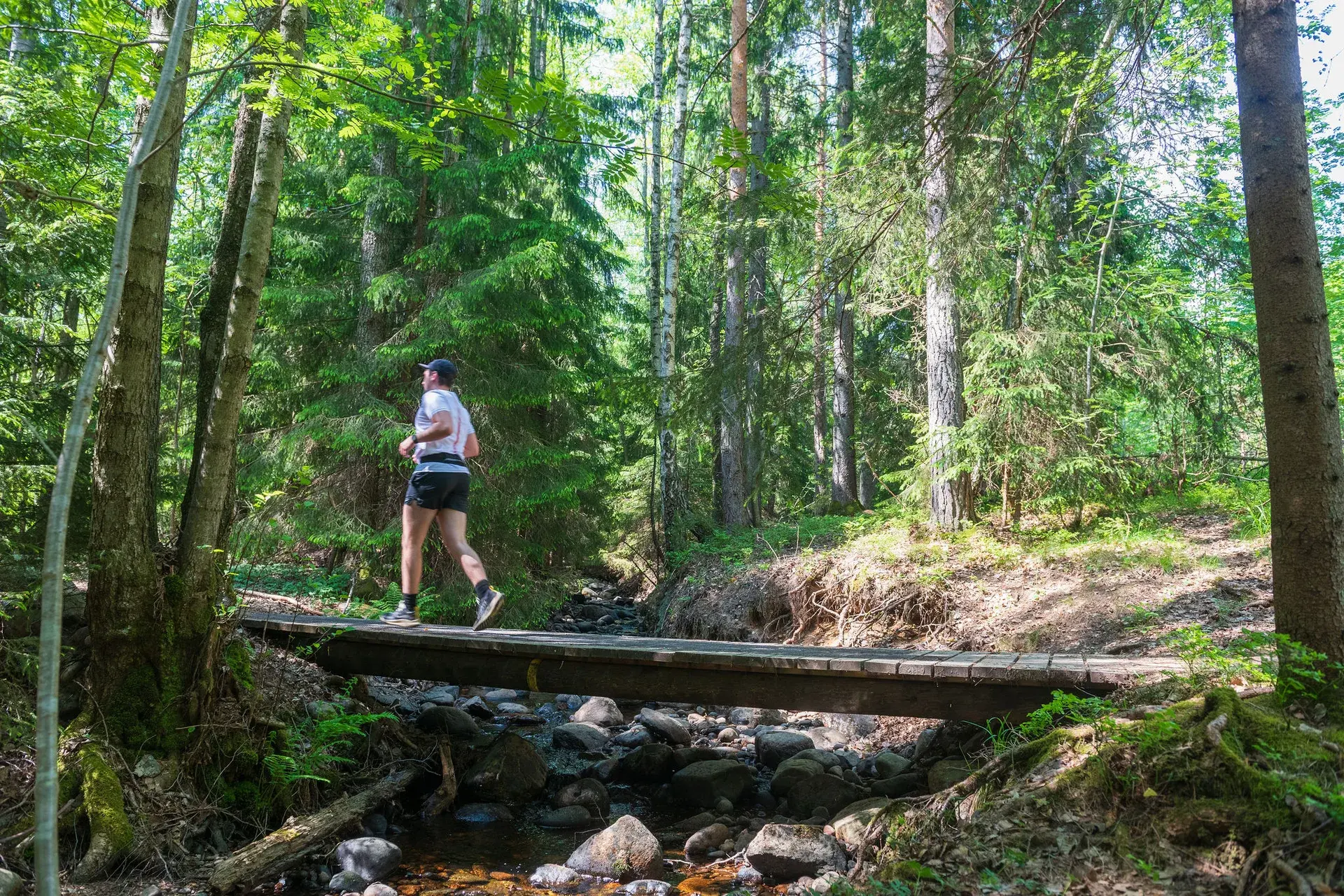 Löpare på spången över en skogsbäck, omgiven av hög granskog, 2024