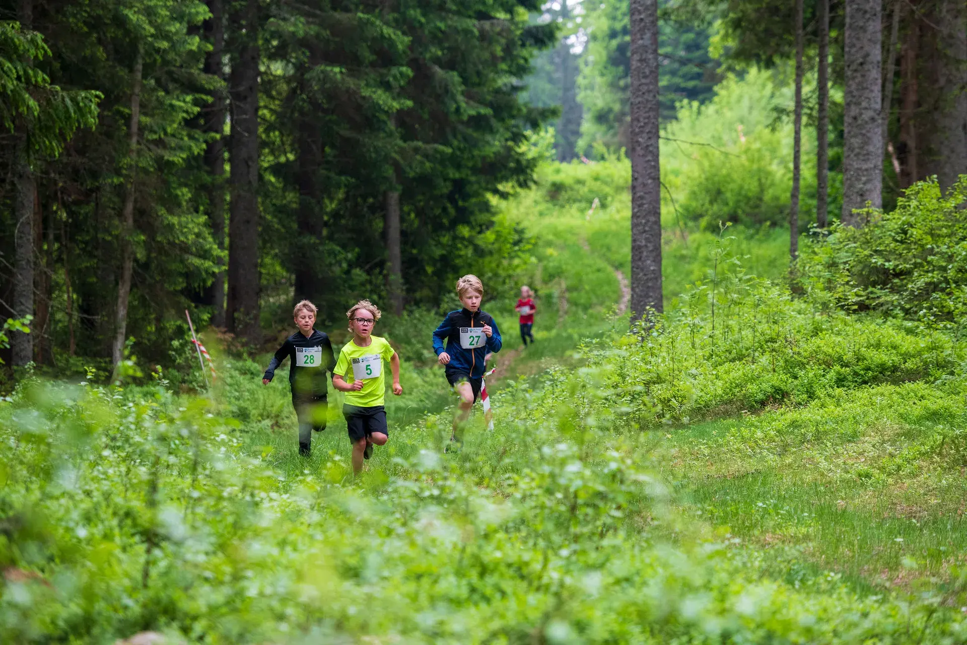Tre barn springer tillsammans genom blåbärsriset under barnloppet, 2024