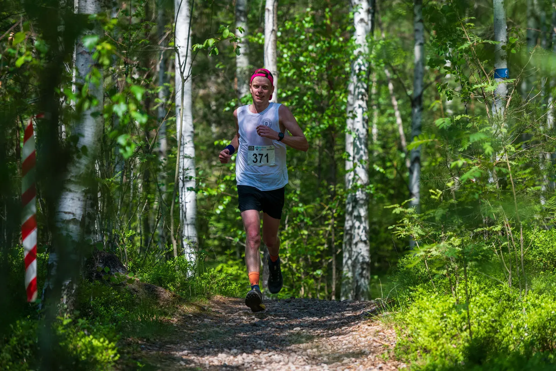 Löpare på en grusad stig genom björkskogen, 2024