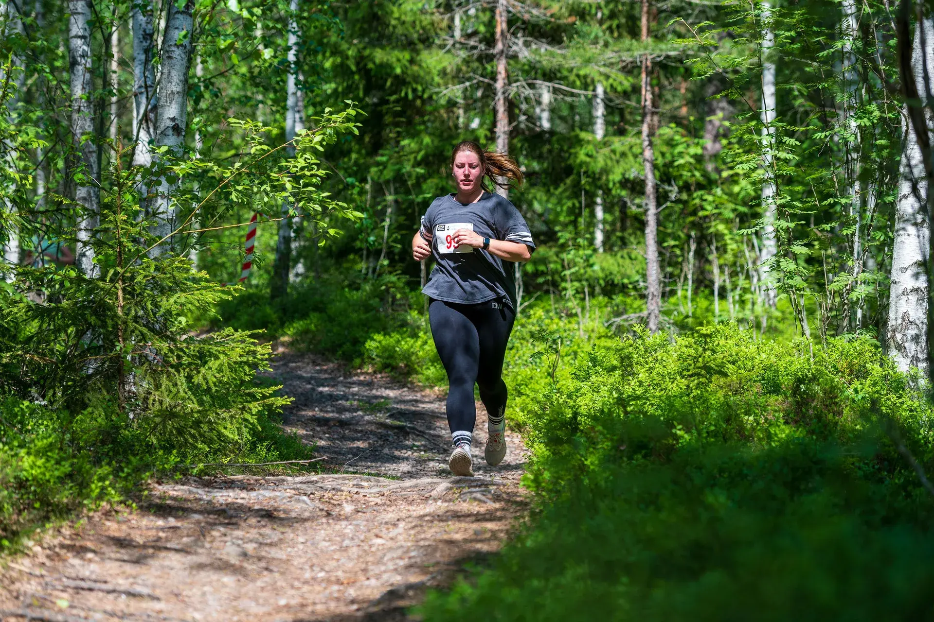 Löpare kommer runt en kurva på stigen genom blåbärsriset, 2024