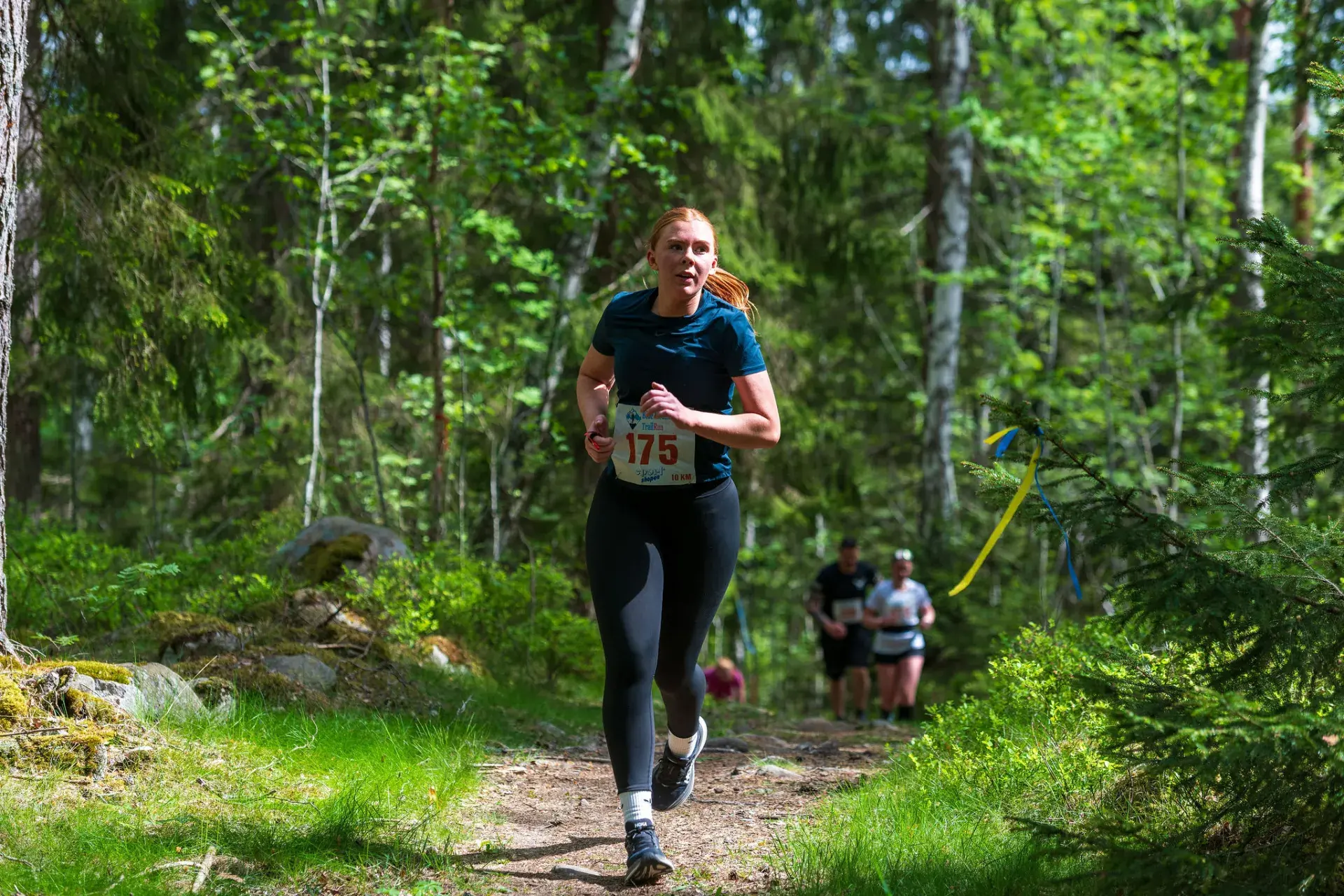 Löpare på stigen genom granskogen, förbi en blågul snitsel, 2025