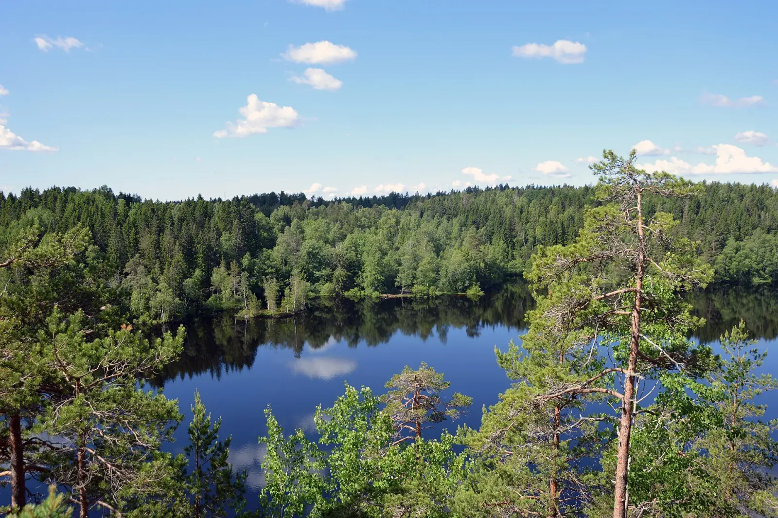 Utsikt över Falkasjön och skogen från Falkaberget